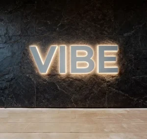 Custom Illuminated 3D Channel Letters LED Backlit Signs Indoor Outdoor Commercial Retail Shop Stainless Steel Acrylic