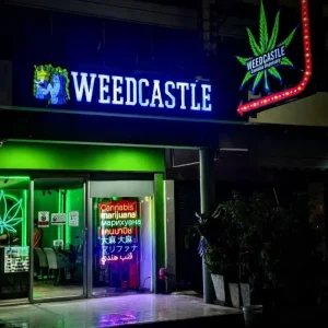 Custom LED Backlit Acrylic Metal 3D Storefront Sign for Outdoor Advertising & Direction Smoke Shop Business
