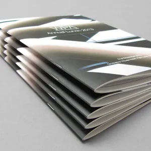 Custom Leaflets/ Booklet/catalog/brochure Print with Spot Uv on Cover
