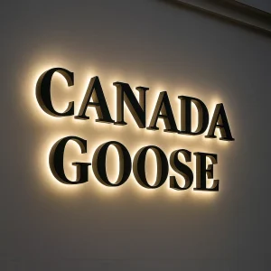 Custom Logo Business LED Channel Letter Stainless Steel Metal 3D Outdoor Wall Shop Store Logo 3D Backlit Signage