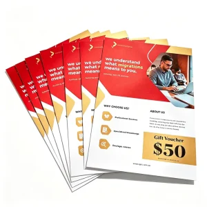 Custom Logo/Graphic Design Coated Paper Flyer with Digital Printing and Varnishing Finish