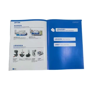 Custom Logo Printed Flyers Brochures Cardboard Paper Color Offset Printing Service