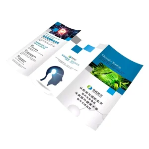 Custom Logo Printed Full Color Art & Newsprint Paper Flyers Pamphlet Brochure Folded Leaflet Booklet Printing