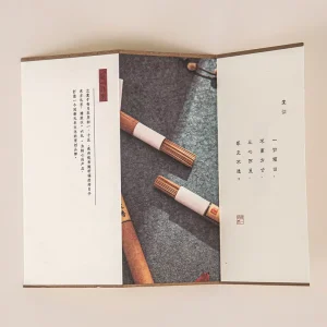 Custom Logo Tri Fold Paper Envelope Multi Purpose Tri Fold Packaging Card Eco Friendly Tri Fold Instruction Brochure