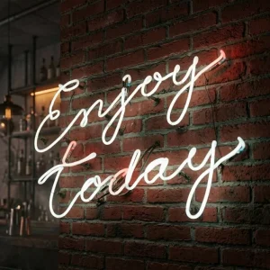 Custom Made Modern White Led Neon Light Party Theme Enjoy Today Plastic Tube Neon Letter Sign