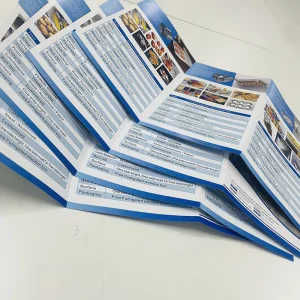 Custom Mini A5/A6/A7/B5/B6 Folded Leaflet Flyer Paper & Paperboard Digital Printing Catalog Instruction Brochures Flyers