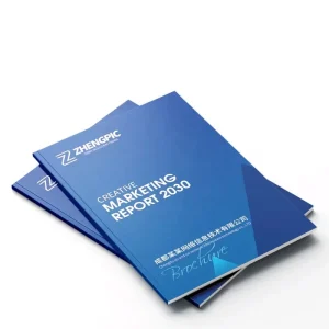 Custom Paper Instruction Manual Brochure and Book Printing