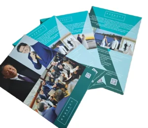 Custom Paper and Paperboard Printing Service for Brochures Booklets Leaflets Instruction Books Magazines and Publicity Materials