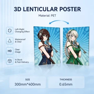 Custom Plastic Anime Flips Paintings 3D Lenticular Motion Poster Home Wall Decor