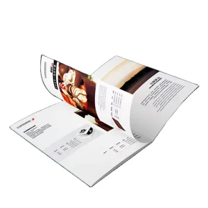 Custom Premium Coated Cardboard Flyer Catalogue Pamphlet Brochure Booklet Instruction Manual Leaflet Printing Service