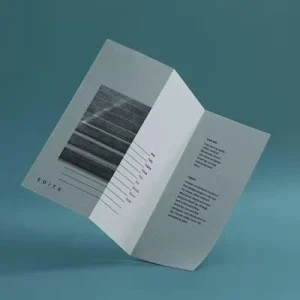 Custom Printed Durable Booklet Catalogue Flyers Leaflet Brochures Magazine Coloring Books China Made Cardboard Art Paper Custom