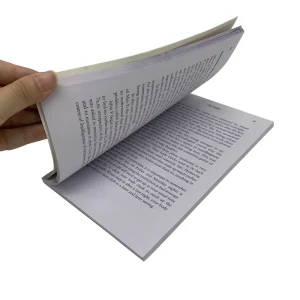 Custom Printed Eco friendly Offset Paper Cardboard Promotion Flyers Leaflets Catalogues Booklets Printing Service