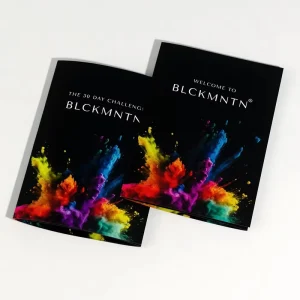 Custom Printed Folded Flyer Brochure Catalog Manual Offset Printing