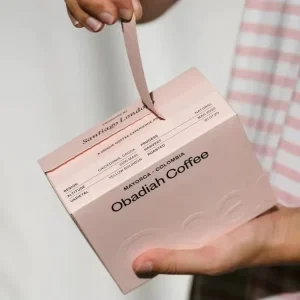 Custom Printed Logo Tear Away Strip Zipper Foldable Design Recyclable Self Sealing Mailer Box