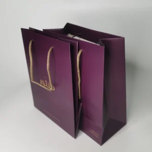 Custom Printed Offset Printing Paperboard Perfume Candle Packaging Ribbon Cotton Rope Handle Christmas Modern Luxury Style
