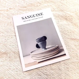 Custom Printed Saddle Stitch Soft Cover Book Magazine Brochure Full Color CMYK Colors Design Film Lamination Paper