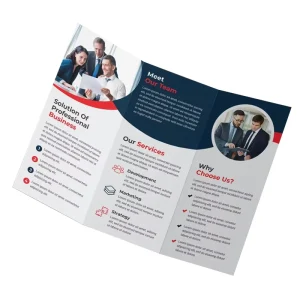 Custom Printed Various Languages Instruction Folding Paper Leaflet Die Cut Brochure Manual