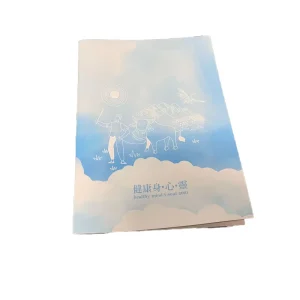 Custom Printed a 6 Leaflet Booklet Cardboard Flyers a 4 a 5 Brochure Pamphlets Business Advertising Flyer Printing Service