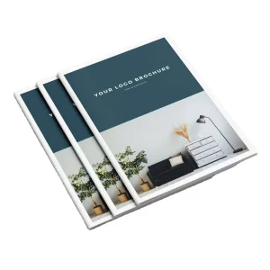 Custom Product Instruction Printing Catalogue Booklet Brochure Printing