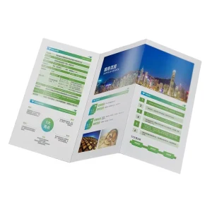 Custom Product Promotional Poster Business Pamphlet Brochure Booklet Catalog Printing Trifold
