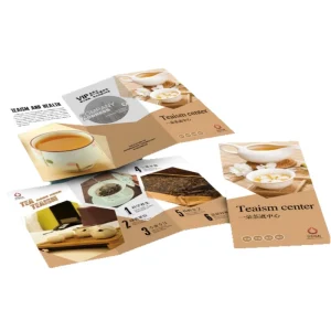 Custom Promotional Flyers Brochures & Catalogs for Your Business Needs