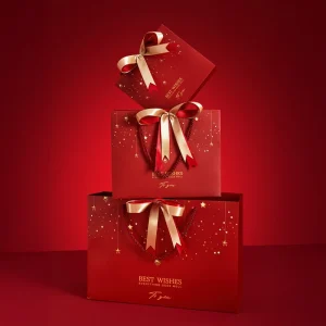 Custom Red Paper Gift Bag with Drawstring Ribbon Bow Closure Personalized Logo Printed Retail Packaging Shopping Bag