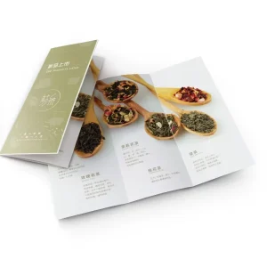 Custom Service High Quality A4 A5 Flyer Printing Custom Size A6 Manual/Journal/Magazine/Catalogue/Brochure/Flyer/Leaflet