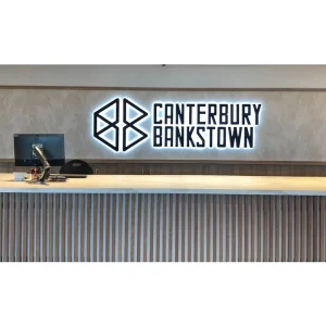 Custom Shop Store Front Metal Logo Light up Letter Office Commercial Business Reception LED Signs 3D Signage Backlit