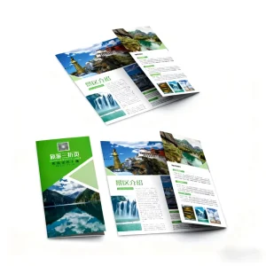 Custom Size Folded A4 Leaflet Brochure Printing Service Fancy Paper Offset Paper Coated Cardboard Flyers Kraft