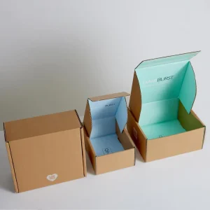 Custom Size Printed E commerce Packing E Commerce Corrugated Paper Self Sealing Packaging Shipping Box for E commerce