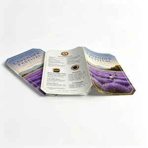 Custom Unique Design Product Promotional Poster Business Pamphlet Brochure Booklet Luxury Catalog Printing Trifold Brochure