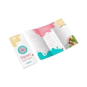 Custom Vector Graphic and Shopify Website Design for E commerce Online Retail Stores
