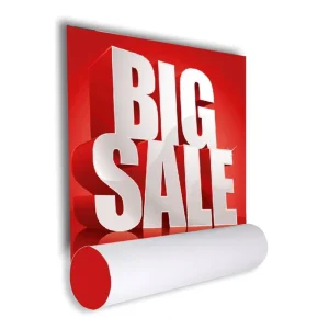 Custom Waterproof Paper Vinyl Picture Poster Printing Wall Advertising Poster for Photographers and Artists