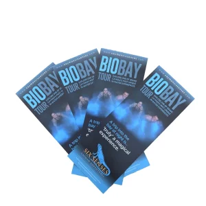 Customize Both Sides Offset Printed Tri-folded Travel Advertising Poster Leaflet with Art Paper