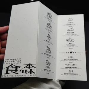 Customize Folding Posters Accordion Style Offset Digital Printing Film Lamination Corporate Brochures Instructions Printing