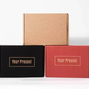Customize Logo Design Recyclable Sturdy for Boutique Kraft Paper Box Packaging Cosmetics Gift Airplane Mailer Box