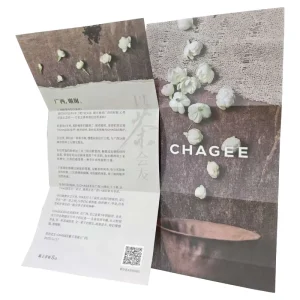Customize Promotional Flyers Printing Factory Brochures Booklets Offset Printing Art Paper Custom Wtih Your Own Logo