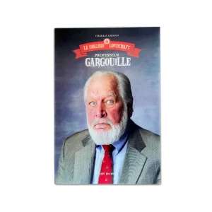 Customize Square 16 Inches 5D Painting 3D Lenticular Postcard Printing 3D Flip Lenticular Picture 3D Poster for Gift
