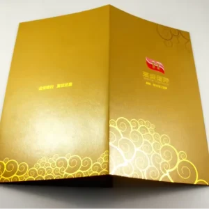 Customized A4 A5 A6 Folded Leaflet Printable Flyer Pamphlet Trifold Brochure Introduction Manual Catalogue Cardboard Printing