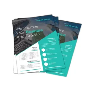 Customized A5 A4 Brochure Flyer Printing and Design Service