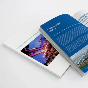 Customized Business Brochure and Flyer Promotion Services-Customized Size-Full-color Offset Printing on Cardboard/Art Paper