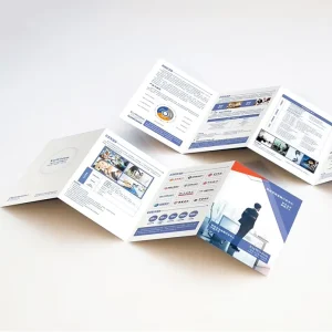 Customized Business Medical Flyers Catalogue Trifold Brochures Digital Printing Cardboard/Paper Film