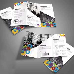 Customized Digital Printing Coated Paper Brochure Product Manuals Folding Leaflet Promotional Sample Booklet Portfolio