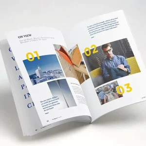 Customized Fancy Paper Offset Printed Hard Cover A5 Instruction Manual Product Brochure Book with Hot Stamping Embossed