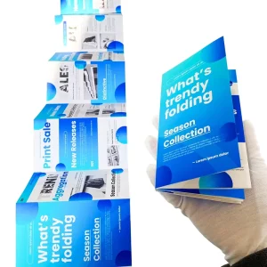 Customized Fold Brochure Pocket Magazine Flyer Booklet Printing Advertising Guidelines Instructions