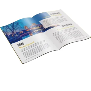 Customized New Printed Promotion Brochure Catalogue Flyer Leaflet Booklet Printing