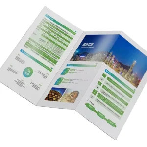 Customized Printed Brochure Poster OEM Orders Flyer Direct Factory Fancy Art Surface Finish Colorful Catalog Printing