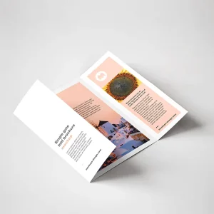 Customized Tri Fold Leaflet 4 Pages Booklet Pamphlet Magazine Catalog Brochure Printing