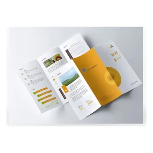 Customized and Price Tri-folded Flyer Leaflets Booklet Brochure