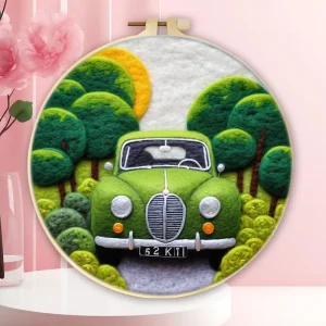 DIY Wool Felting Painting With Embroidery Frame Handmade Needle Wool Painting Picture for Home Decor Crafts Gift